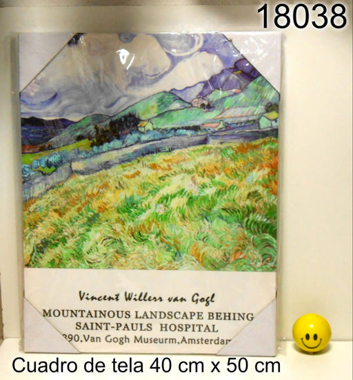 Imagen de CUADRO DE TELA 40X50 VAN GOGH 3.26